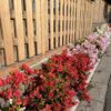 Thumbnail of related posts 084
