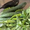 Thumbnail of related posts 048