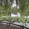 Thumbnail of related posts 165